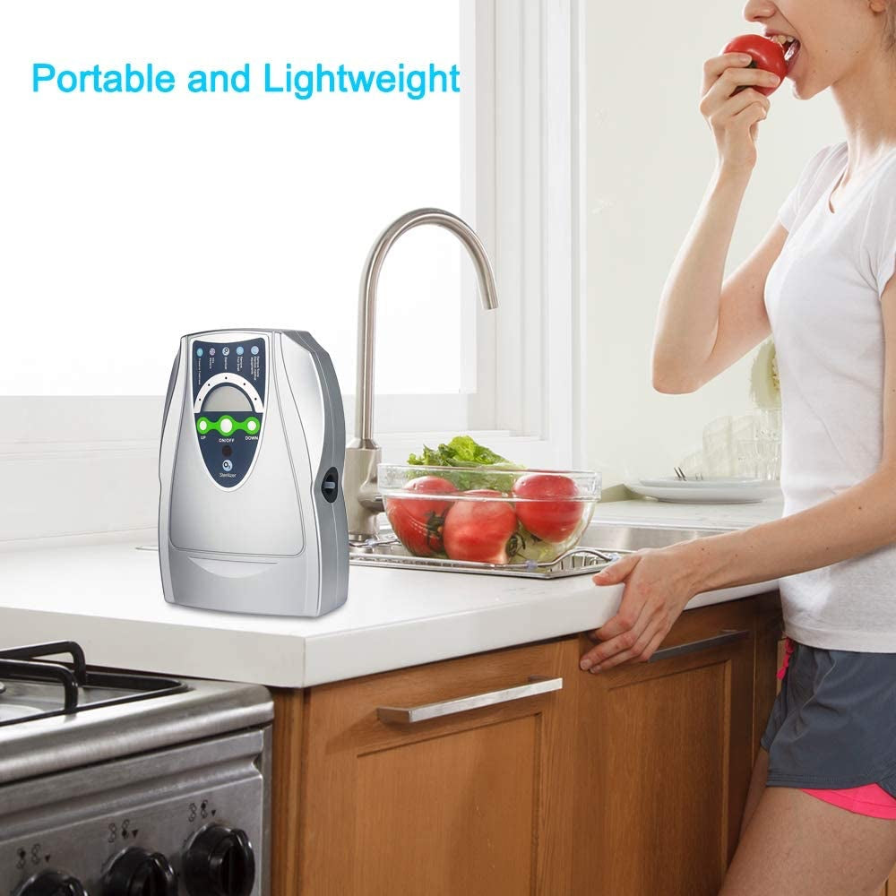 Home Ozone Generator N1668 - Active Oxygen Food Purifier for Fruits and Vegetables