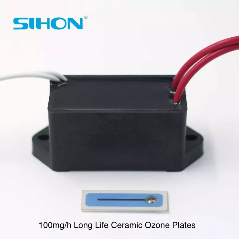 100-500mg/h Ceramic Ozone Plate with Power Unit Ozone Generator Kit