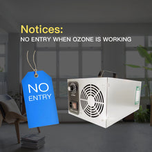 Load image into Gallery viewer, 30-60g/h Commercial Ozone Generator Machine
