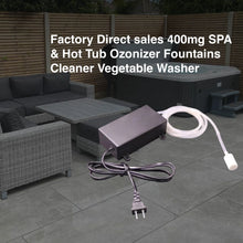 Load image into Gallery viewer, Factory Direct sales 400mg SPA &amp; Hot Tub Ozonizer Fountains Cleaner Vegetable Washer
