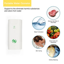 Load image into Gallery viewer, Portable Water Ozonator, 12V Safe Voltage Water Purifier, Eco-friendly ABS Plastic Case
