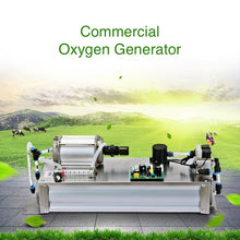 Load image into Gallery viewer, Commercial PSA Oxygen Generator without Shell
