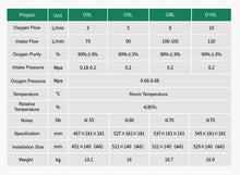 Load image into Gallery viewer, Commercial PSA Oxygen Generator without Shell
